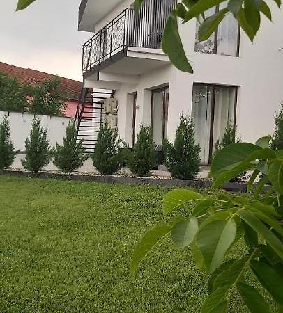 Apartament Accent Garden Deva Zewnętrze zdjęcie