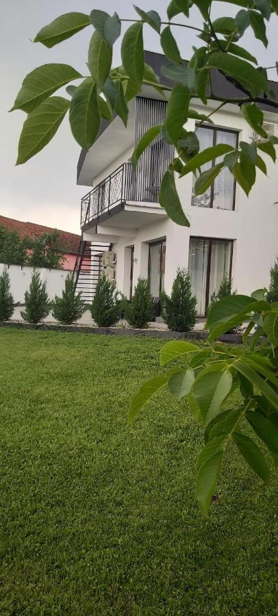 Apartament Accent Garden Deva Zewnętrze zdjęcie